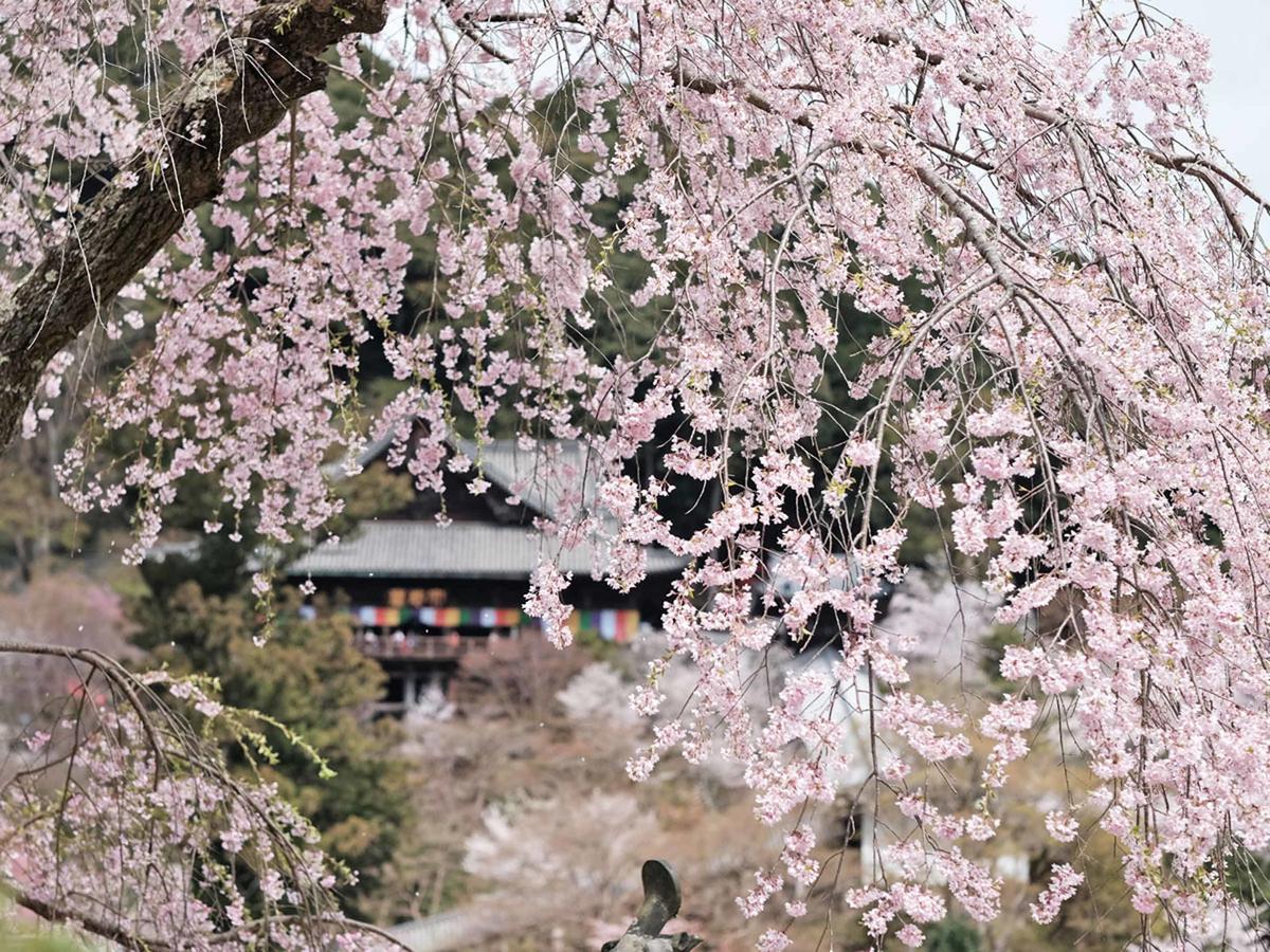 Itaniya Sakurai Exterior foto