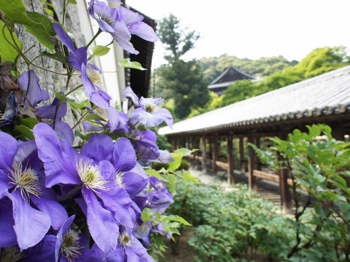 Itaniya Sakurai Exterior foto